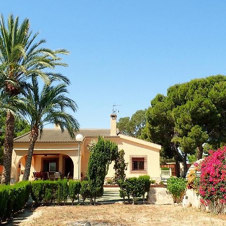 Villa Buganvilla Elche Eksteriør bilde
