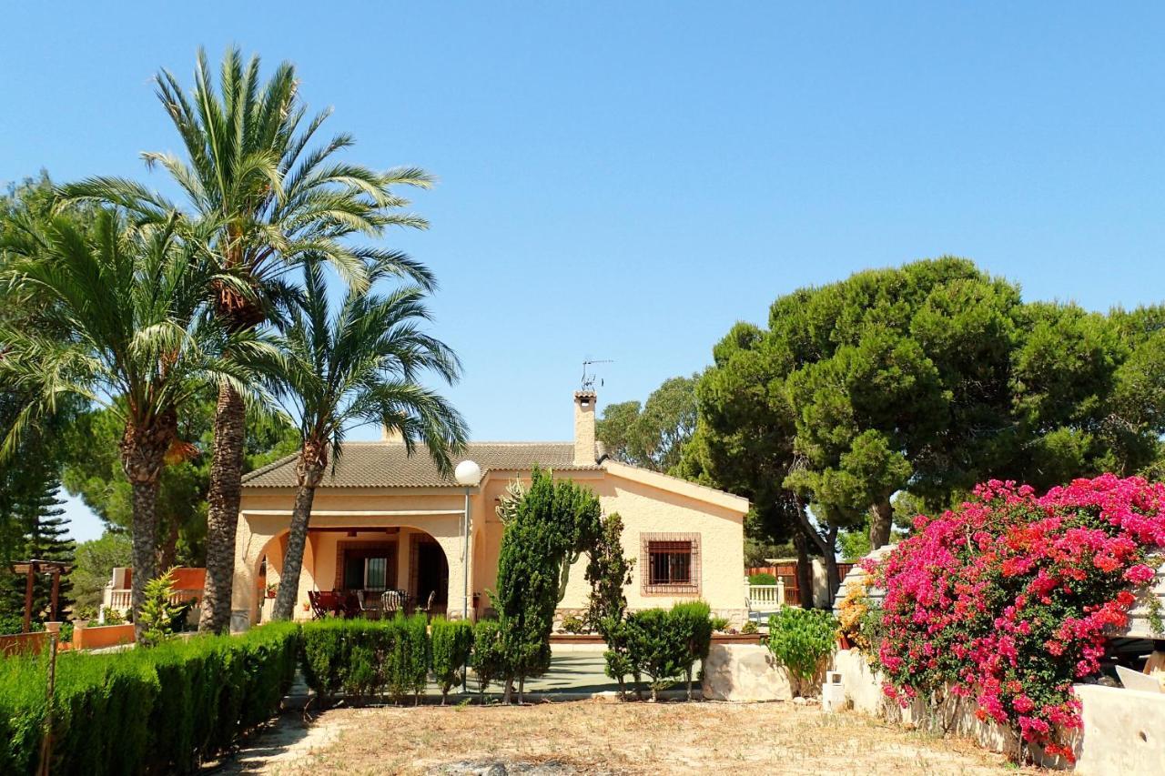 Villa Buganvilla Elche Eksteriør bilde